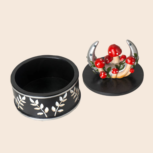 Moon & Mushroom Box