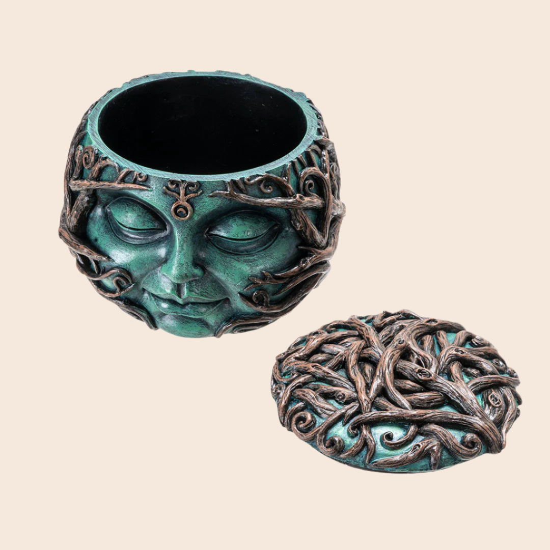 Gaia Box
