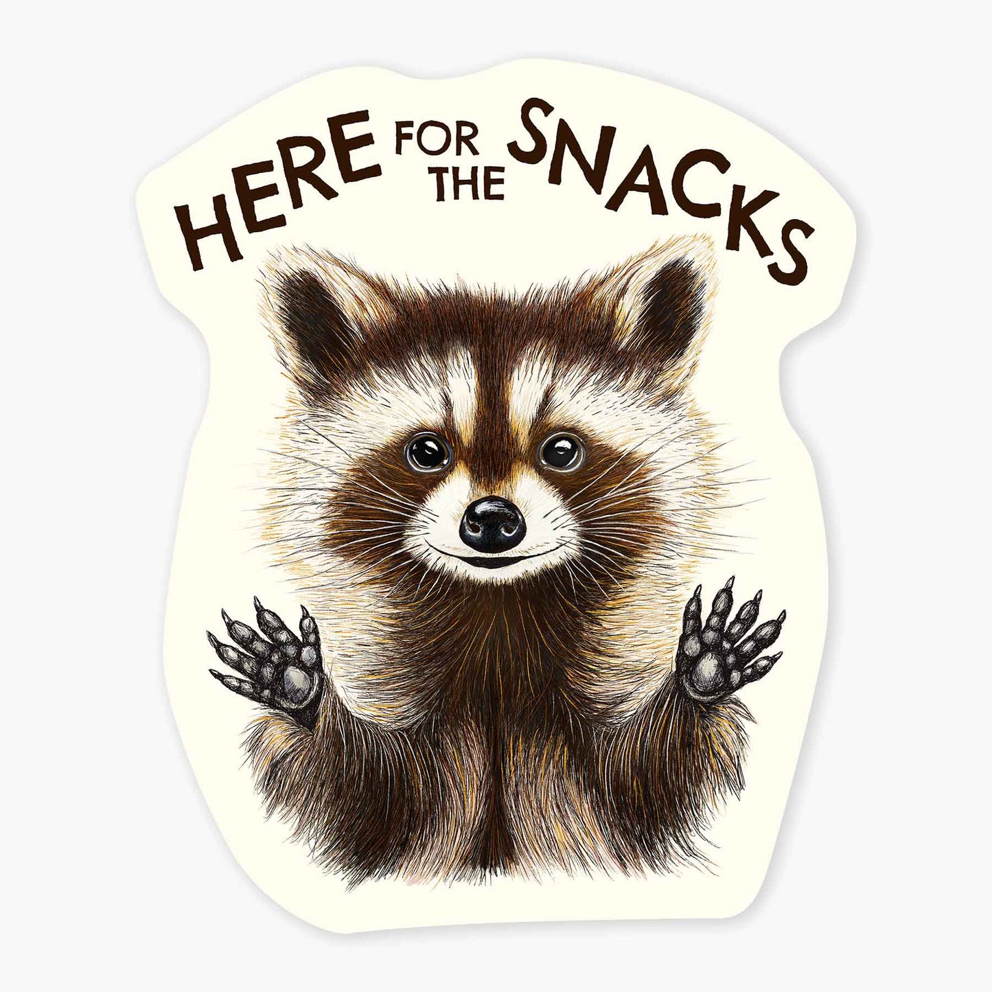 Raccoon Snacks - 3" Art Sticker
