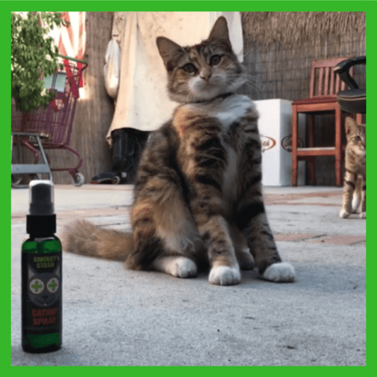 Smokey's Stash Catnip Spray 2oz Bottle