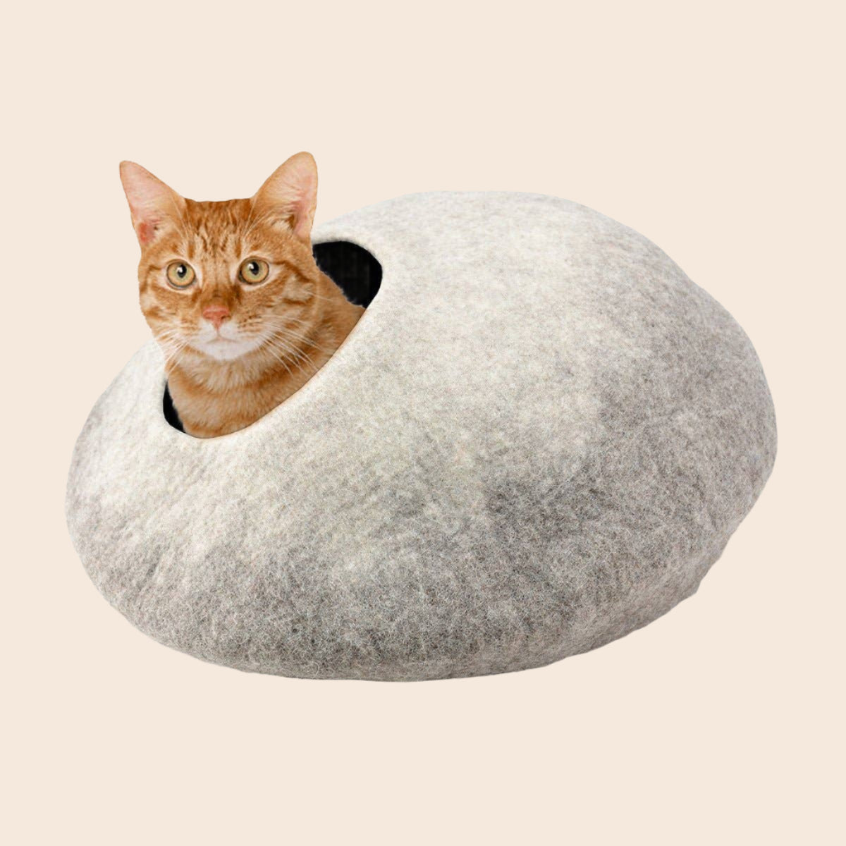 Felted Cat House