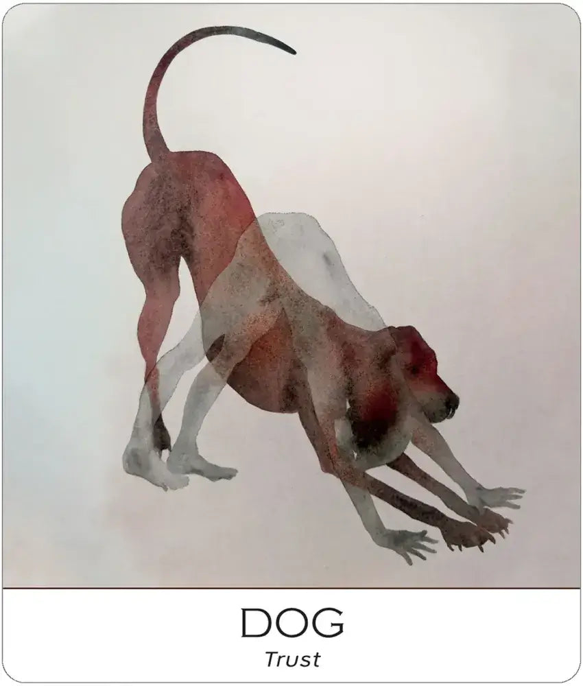 Nature & Soul Yoga Wisdom Cards