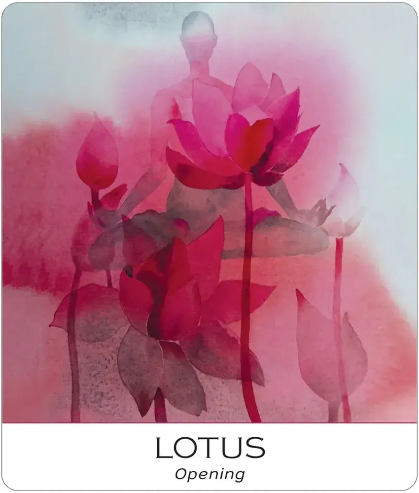 Nature & Soul Yoga Wisdom Cards