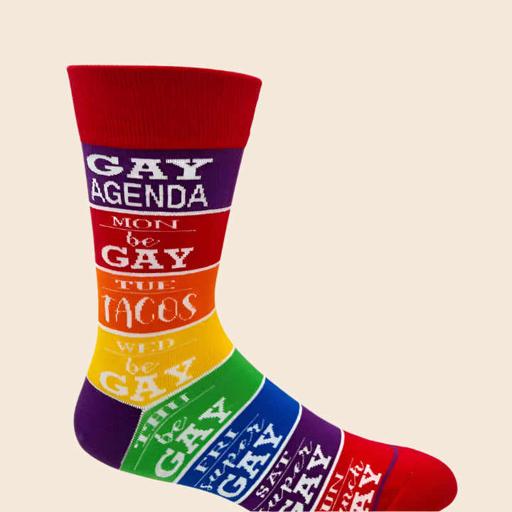 Gay Agenda Men's Socks