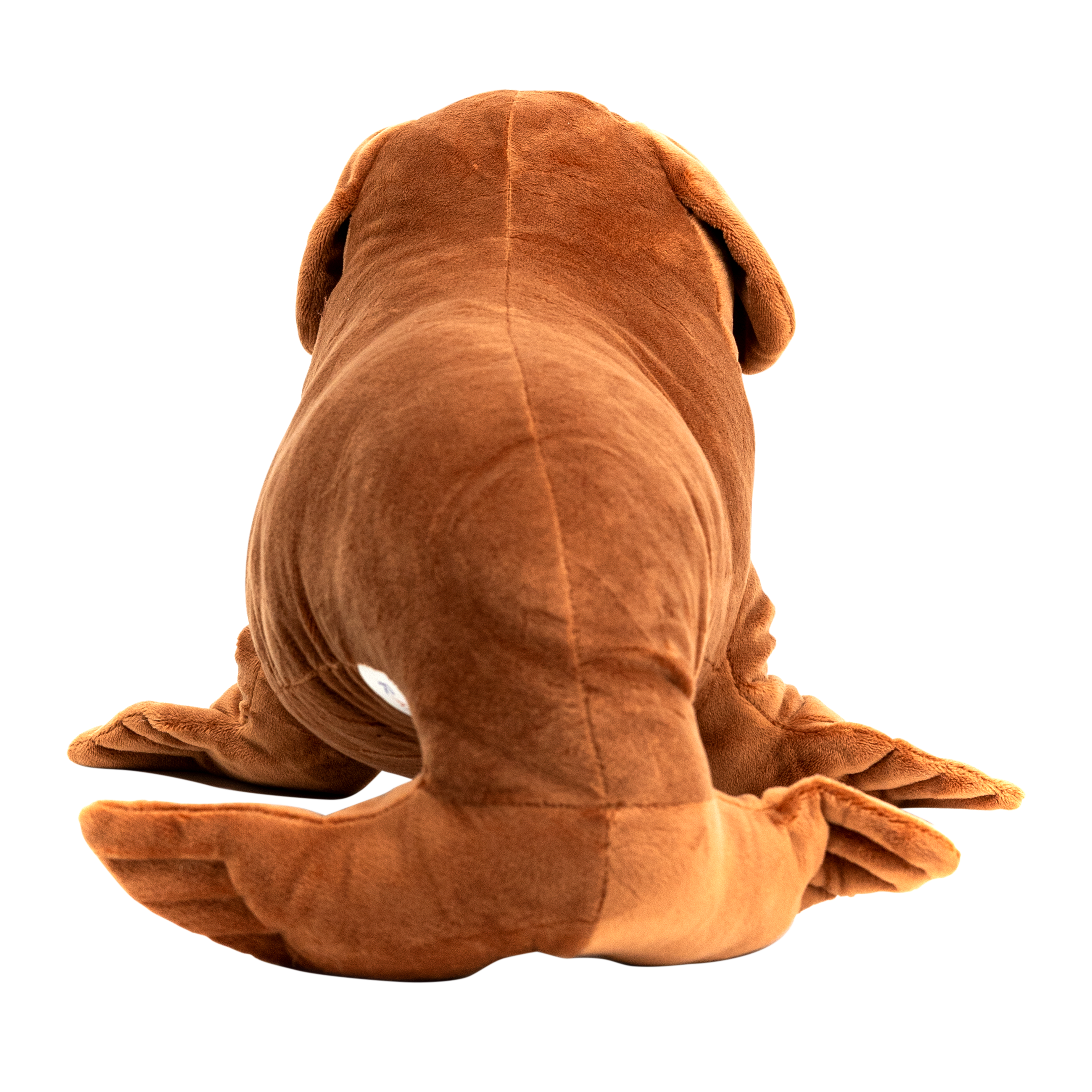 Sea Dog (Plush)