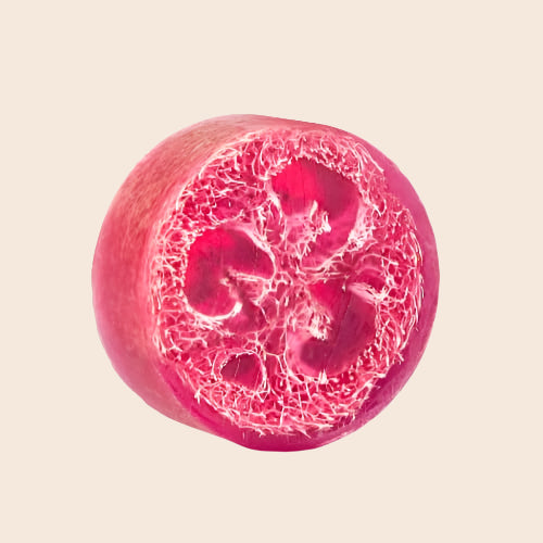 Sparkleberry Exfoliating Loofa Soap