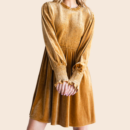 Long Sleeve Velvet Dress