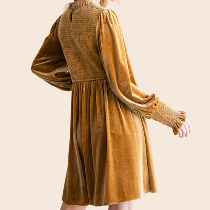 Long Sleeve Velvet Dress