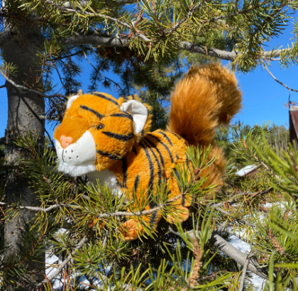 Squiger (Plush)