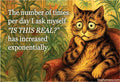 MAGNET: The number of times per day I ask myself, "IS THIS…