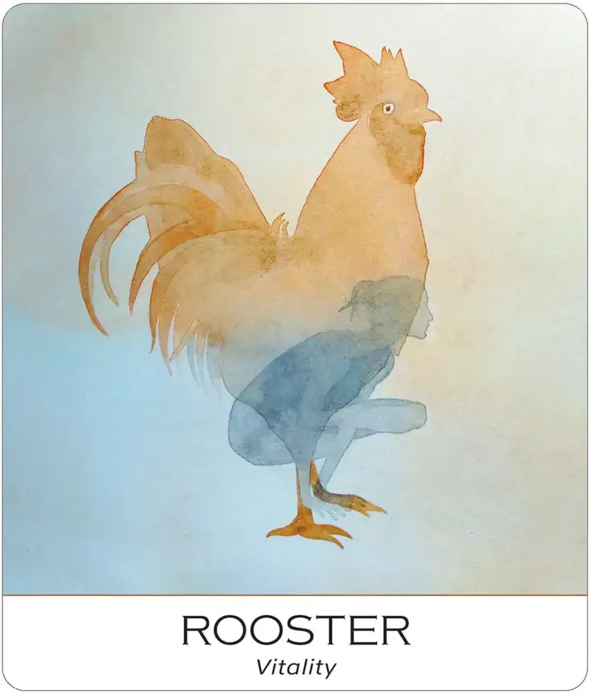 Nature & Soul Yoga Wisdom Cards