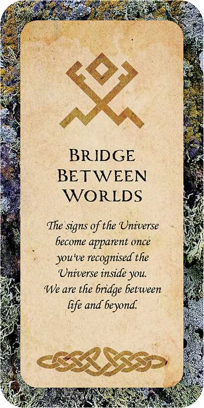 Druid Wisdom Oracle Deck by Andres Engracia