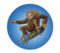 Skateboard Monkey Sticker