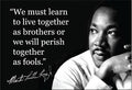 MAGNET: "We must learn to live together as brothers or we…