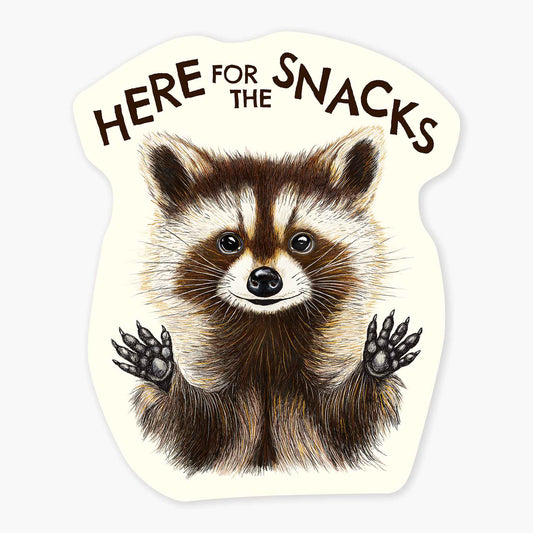 Raccoon Snacks - 3" Art Sticker