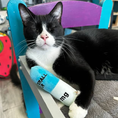 Catterall Catnip Filled Mini Kicker Toys (4 in a pack)