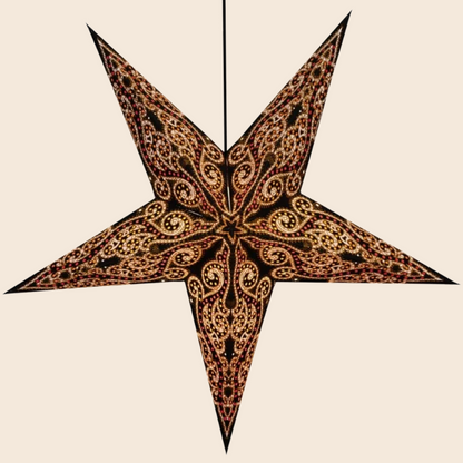 Realize Paper Star Lantern