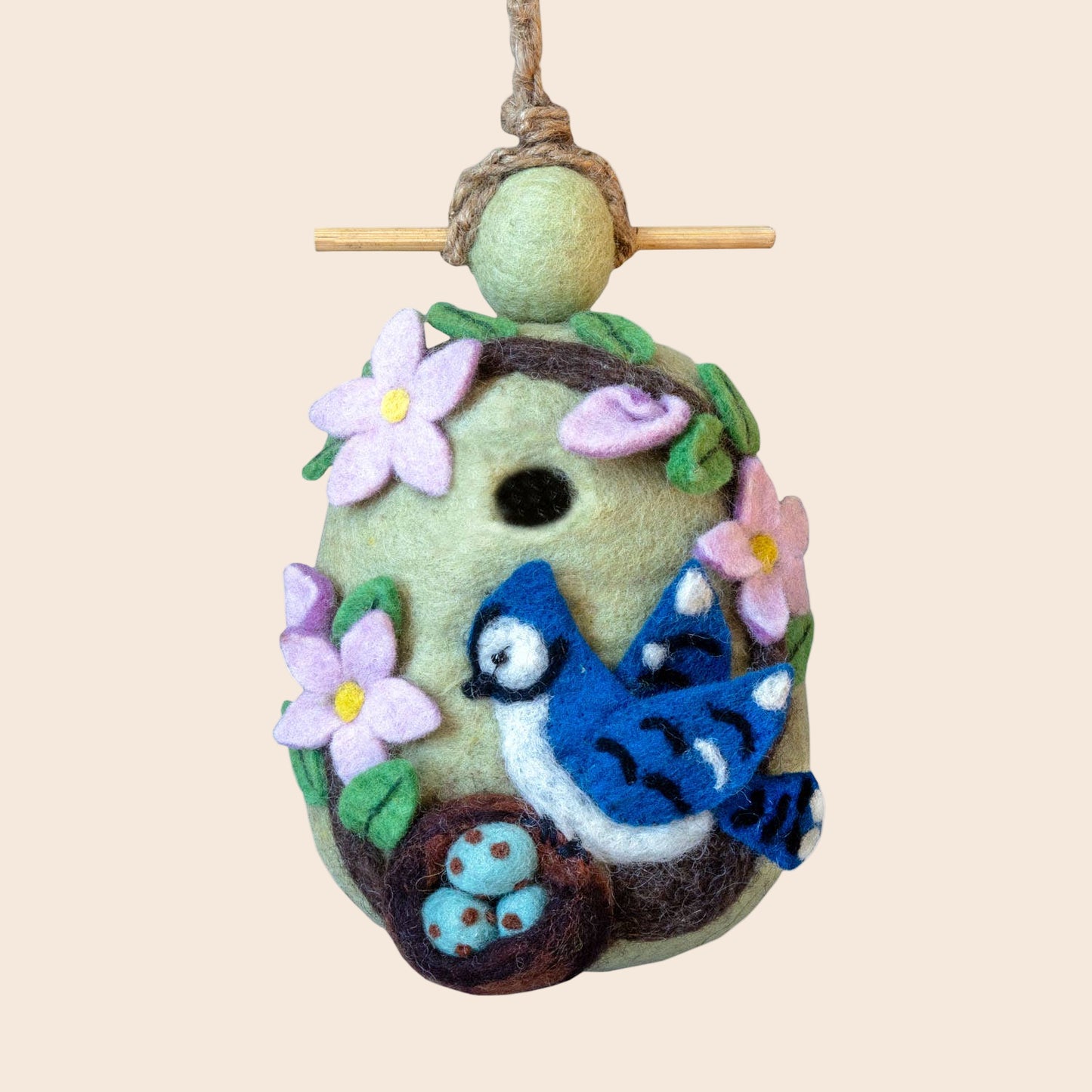 Birdhouse: Nesting Bluejay