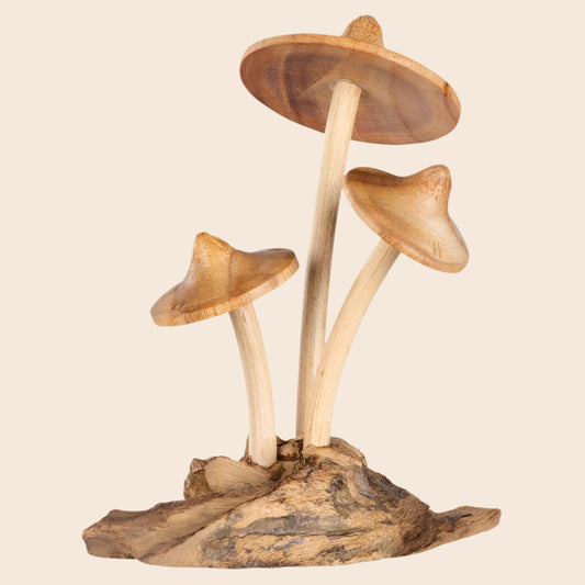 Triple Mushroom