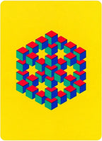 Optical Illusions Playing Card Deck