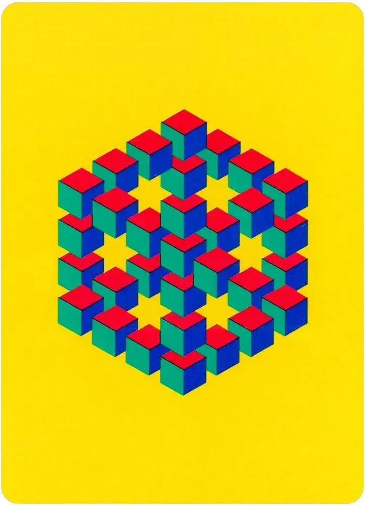 Optical Illusions Playing Card Deck