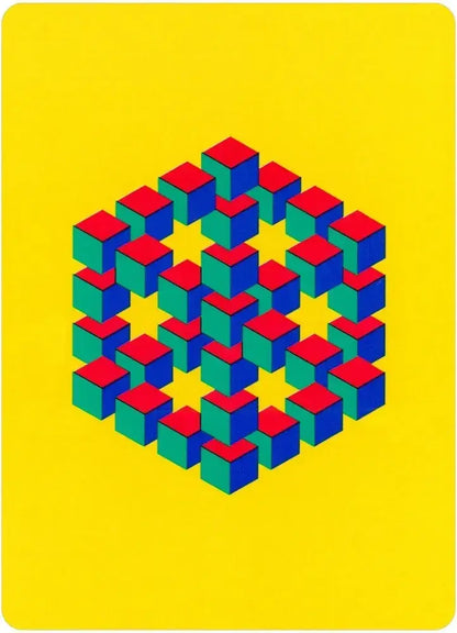 Optical Illusions Playing Card Deck