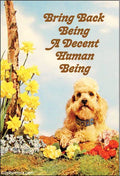 MAGNET: Bring back being a decent human being