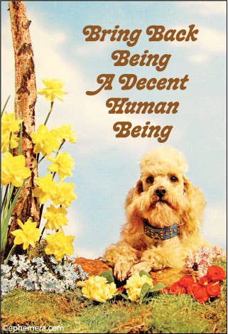 MAGNET: Bring back being a decent human being