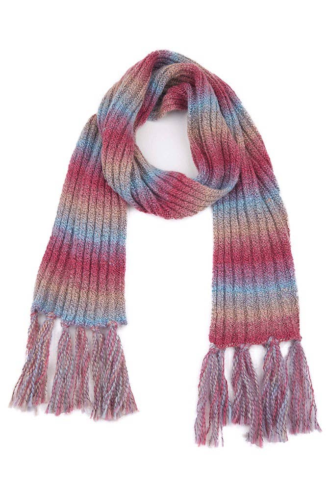 Ombre Knit Scarf with Fringe