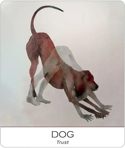 Nature & Soul Yoga Wisdom Cards