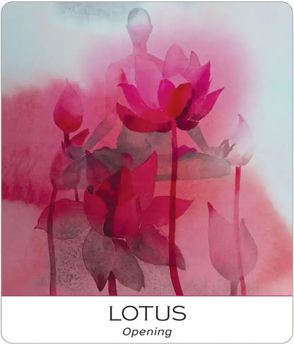 Nature & Soul Yoga Wisdom Cards