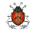 Om Lady Bug