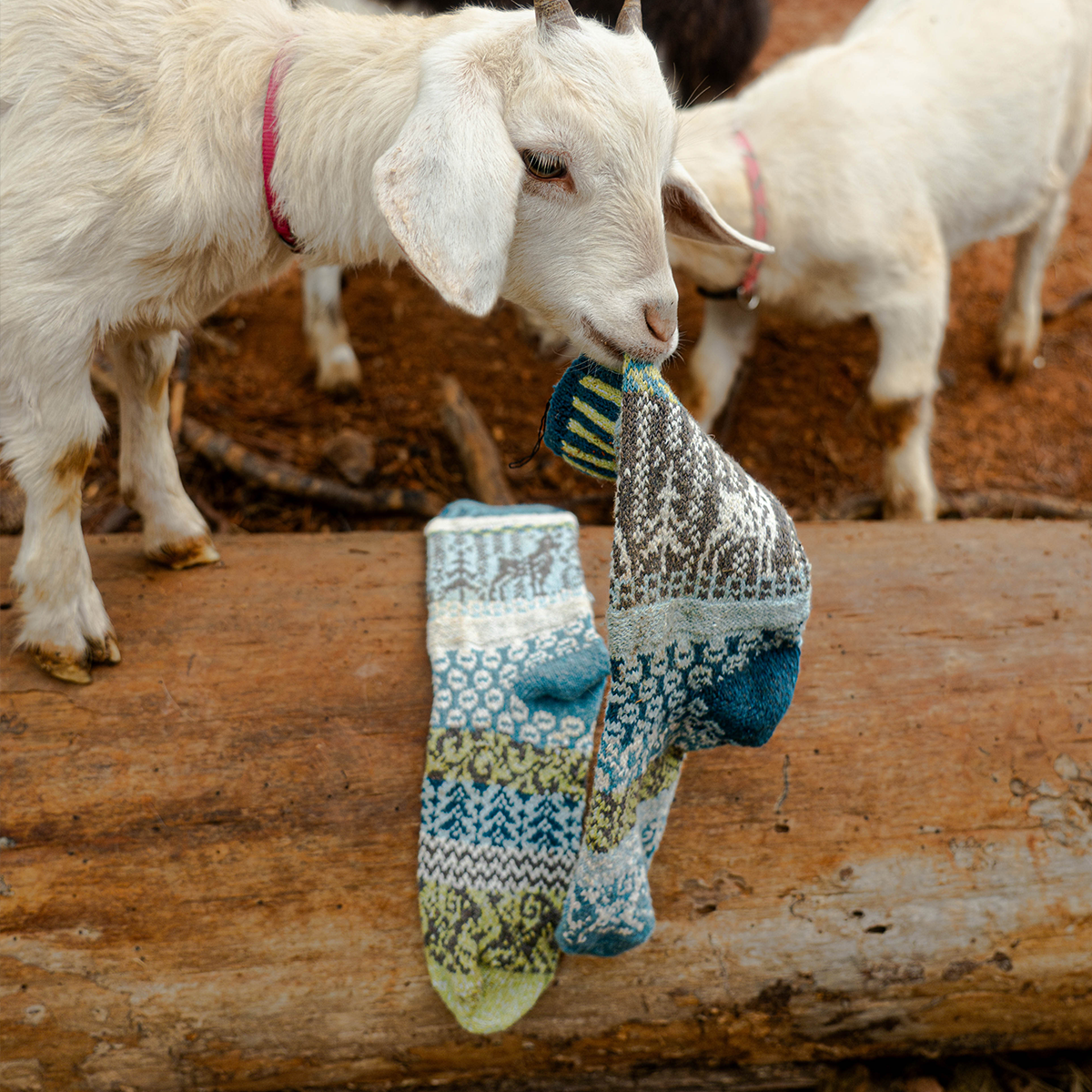 Goat Crew Socks | USA Made Giveback Socks for National Parks