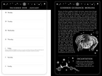 2027 Witch's Diary and Planner Calendar