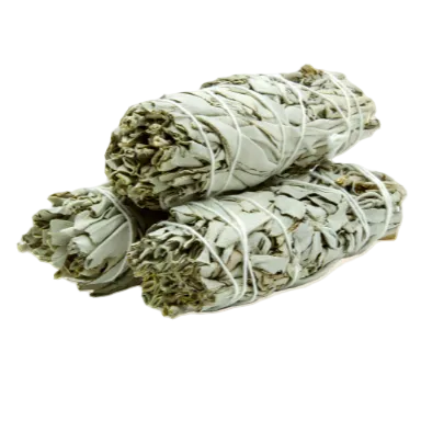 White Sage